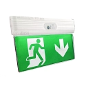 emergency luminaire SAVE-XS SINGLE CL IP44, green, transparent, white 
