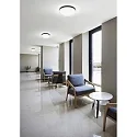 Helestra ceiling luminaire TANA IP44, black matt, partly satined 