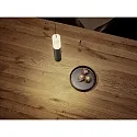 Helestra pendant luminaire LIDOS 1 flame, direct / indirect IP20, black chrome dimmable