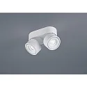 ceiling luminaire NAKA 30W 2 flames, adjustable IP20, white matt dimmable