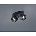 ceiling luminaire NAKA 30W 2 flames, adjustable IP20, black matt dimmable