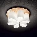 Ideal Lux Ceiling luminaire DAISY, 6 flames, Ø 60cm, E27, gold leaf finish / white etched relief glass
