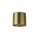 downlight SPIKE  PL ROUND LED cylindrical, switchable IP20, brushed brass 
