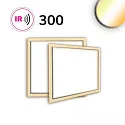 illuminated frame for PREMIUM PROFESSIONAL 300 IP44, white dimmable