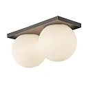 Lumexx wall and ceiling luminaire PALLA MINI IP20, titanium dimmable