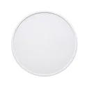 surface luminaire WD 300 R SCCT MP DIM CCT Switch, dimmable, multipower IP44, white dimmable