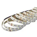 nobilé LED Strip 5050 RGB+WW/CW SMD - 2M / 12MM RGBW white