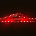 LED Strip Flexible LED SMD 3528, 12V, 4.8W/m, RED, 200cm