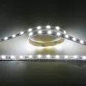 LED Strip Flexible LED SMD 5050, IP20, 24V 14.4W/m, 6500K, 500cm