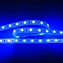 LED Strip Flexible LED SMD 5050, IP20, 24V 14.4W/m, BLAU, 500cm