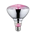 LED Growth light Filament Lamp / Grow Green Reflector PAR38, 230V, E27, 6.5W 1300K 200lm 115°