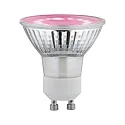 LED reflector lamp PLANT GU10 3,5W 95lm 1100K 110° 