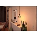Paulmann LED filament lamp METALLIC GLOW GLOBE SPIRAL switchable E27 4,2W 200lm 1800K CRI >80 