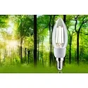 Paulmann filament lamp candle ECO-LINE E14 2,5W 525lm 3000K CRI 80-89 