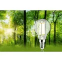 Paulmann filament lamp drop ECO-LINE DROP set of 3, switchable P45 clear E14 3x 2,5W 525lm 3000K 360° CRI >80  clear