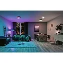 Paulmann wall and ceiling luminaire RAINBOW DYNAMIC large, tunable white, RGB IP20, black, white dimmable