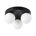 Paulmann wall and ceiling luminaire GOVE G9 IP44, mat, black 