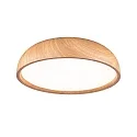 Paulmann bath luminaire OKA CCT Switch, switchable IP44, wood, mat 