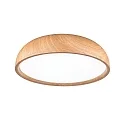 Paulmann bath luminaire OKA CCT Switch, switchable IP44, wood, mat 