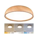 Paulmann bath luminaire OKA CCT Switch, switchable IP44, wood, mat 