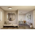 Paulmann bath luminaire OKA CCT Switch, switchable IP44, wood, mat 