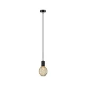 Paulmann pendant luminaire RAVI IP44 adjustable E27 IP44, black