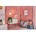 Paulmann Paulmann Neordic Menja Pendant luminaire E27, max. 20W white/brass brushed