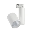 Paulmann track spot PRORAIL3 ZEUZ LED adjustable IP20, white dimmable