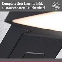 Paulmann outdoor wall luminaire ZERENA with sensor, insect friendly, sea-air resistant IP44, anthracite 
