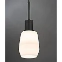 Paulmann URail DecoSystems Pendant luminaire, 230V, E14 max. 20W, without shade, black matt