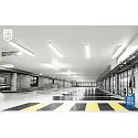 Philips LED tube T8 MASTER LEDTUBE  T8 HO 600MM 7.6W 830 rotatable, switchable matt G13 7,6W 1090lm 3000K 160° CRI >80  satined