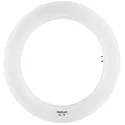 LED tube shape ESSENCE TUBE RING T9 C22 G10Q EM G10q 12W 1320lm 6500K CRI 80-89