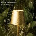 SIGOR battery table lamp NUINDIE MINI USB-C up / down, with USB connection, CCT Switch, with touch dimmer IP54, gold anodised dimmable