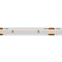 LED Strip CSP
