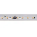 LED Strip