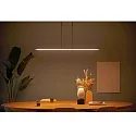 Steinhauer Steinhauer Pendant luminaire ZELENA LED, 3 flames, black