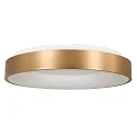 Steinhauer ceiling luminaire RINGLEDE - Ø 48CM large, round, direct / indirect IP20, gold dimmable