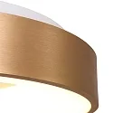 Steinhauer ceiling luminaire RINGLEDE - Ø 30CM small, round, direct / indirect IP20, gold matt dimmable