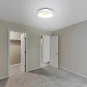 Steinhauer ceiling luminaire RINGLEDE - Ø 30CM small, round, direct / indirect IP20, white matt dimmable