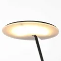 Steinhauer floor lamp DAPHNE 1 flame IP20, black dimmable