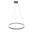Steinhauer pendant luminaire RINGLUX up / down IP20, black dimmable