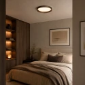 Steinhauer ceiling luminaire FLADY IP20, dimmable