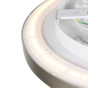 Steinhauer ceiling luminaire FLADY 2 flames IP20, steel dimmable