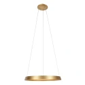Steinhauer pendant luminaire RINGLUX IP20, gold dimmable