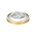 Steinhauer ceiling luminaire RINGLUX IP20, dimmable