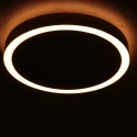Steinhauer ceiling luminaire RINGLUX IP20, dimmable