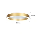 Steinhauer ceiling luminaire RINGLUX IP20, dimmable