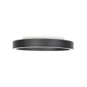 Steinhauer ceiling luminaire RINGLUX 2 flames IP20, black dimmable