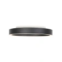Steinhauer ceiling luminaire RINGLUX 2 flames IP20, black dimmable
