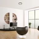 Steinhauer ceiling luminaire RINGLUX 2 flames IP20, black dimmable